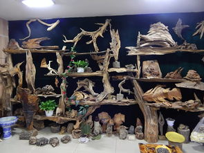 雙鴨山市第八屆工藝美術(shù)創(chuàng)新作品暨旅游紀(jì)念品展銷會(huì)隆重開幕，本土工藝精品薈萃展風(fēng)采